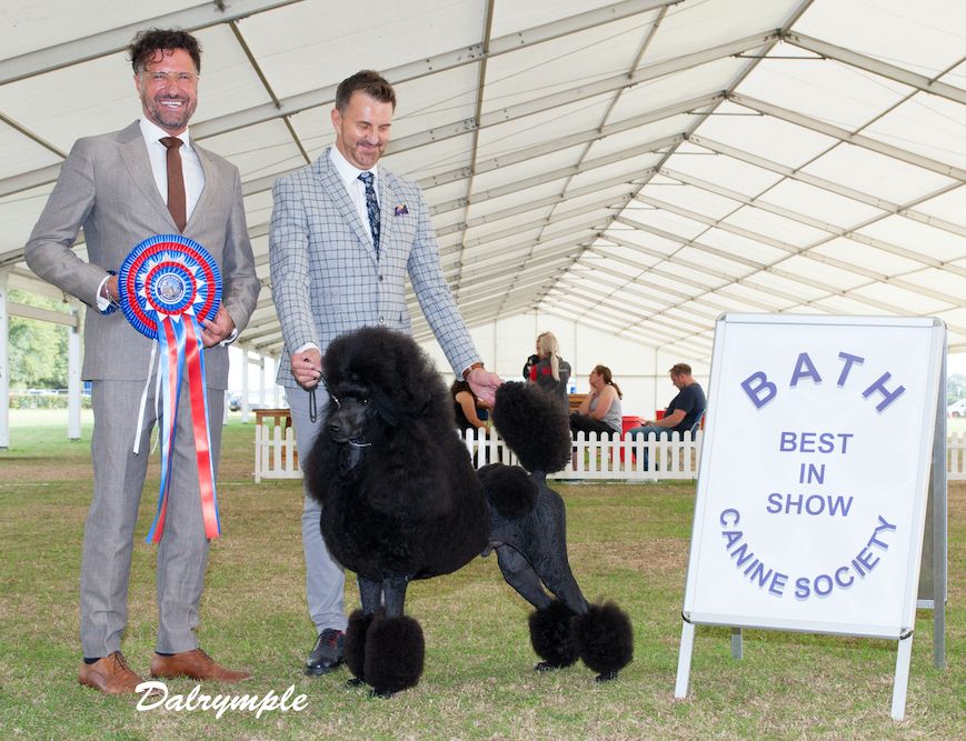 A Round-Up of Summer Shows